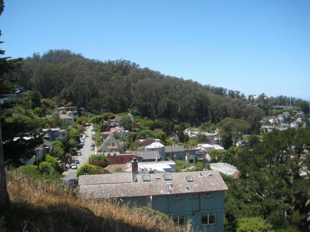 Udsigt over Sutro -skoven fra Tank Hill (800x600)