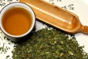 Kidney tea - staminate orthosiphon: useful properties and contraindications, how to drink